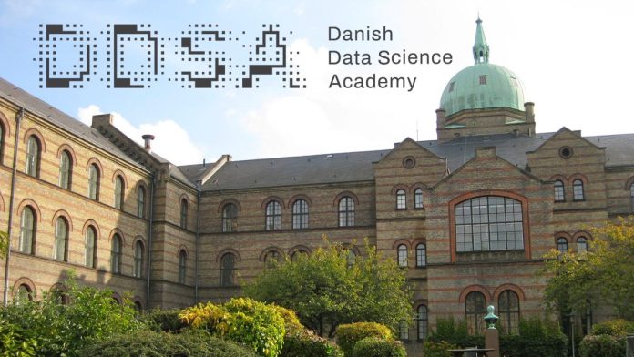 Government of Denmark DDSA Scholarship