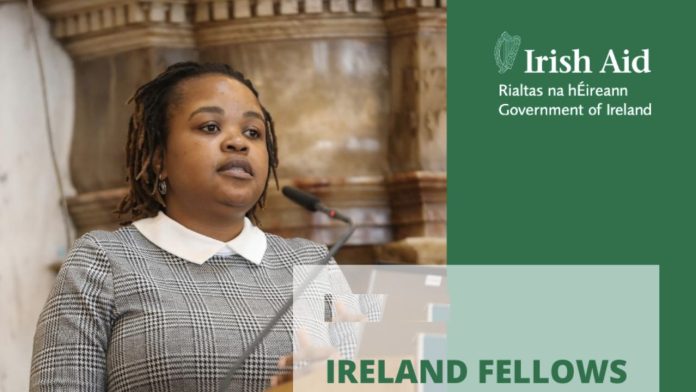 Ireland Fellows Programme